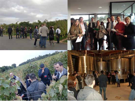 bodega pagos de larrainzar